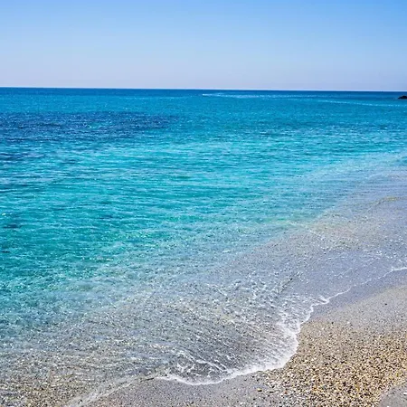 Andaluz - Algarrobo * נרחה