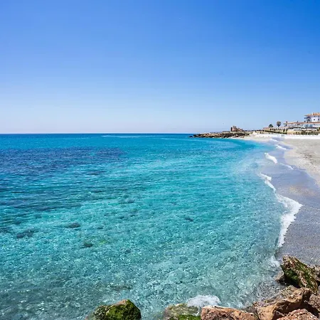 Andaluz - Algarrobo נרחה