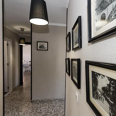 Andaluz - Algarrobo *