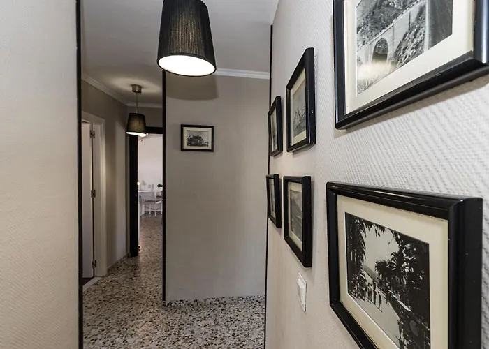 Andaluz - Algarrobo *