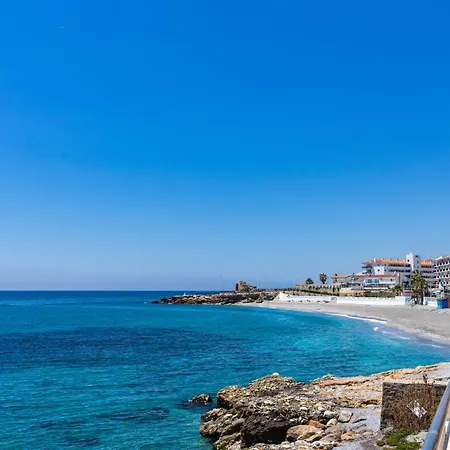 Andaluz - Algarrobo